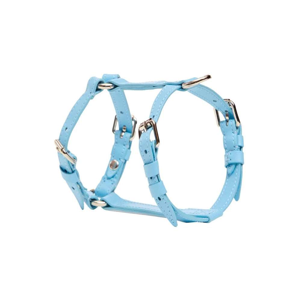 Maltipoo World Harness Hug, Blue