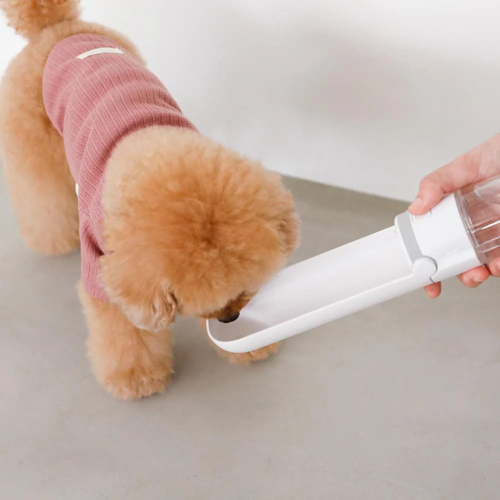 Moncheri Pet Foldable Water Bottle