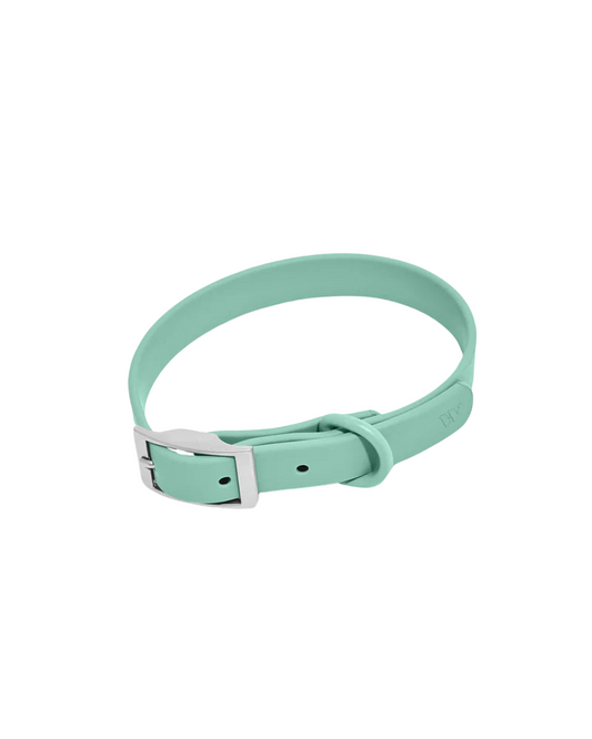 Wild One Collar, Seafoam