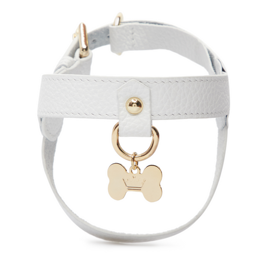 Maltipoo World Leather Harness, White