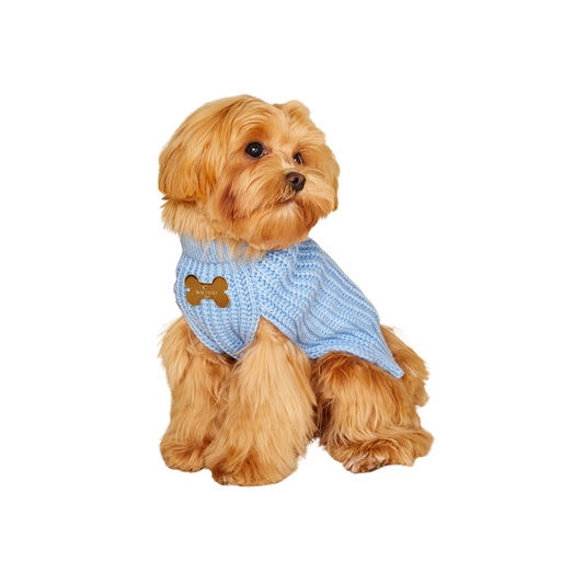 Maltipoo World Sweater Trio, Light Blue