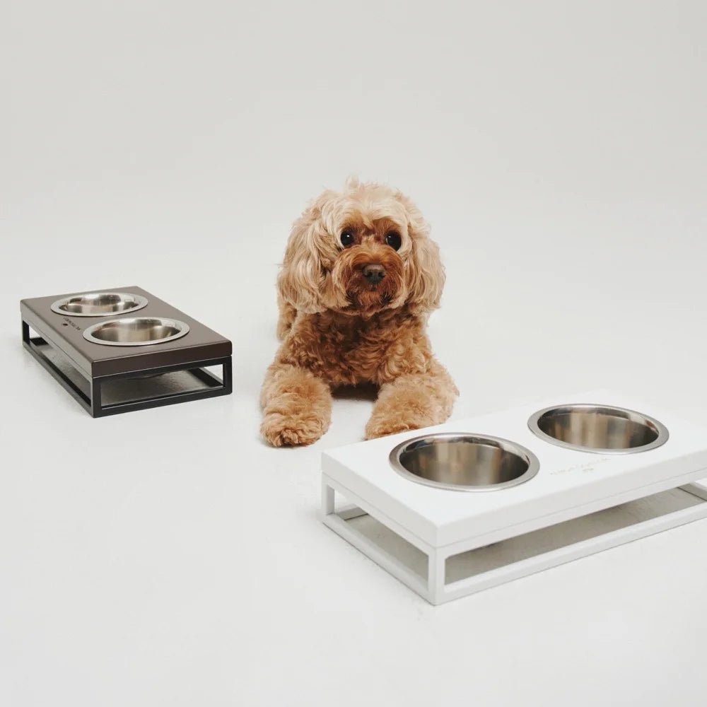 Maltipoo World Food and Water Bowls on a Stand, White Wood