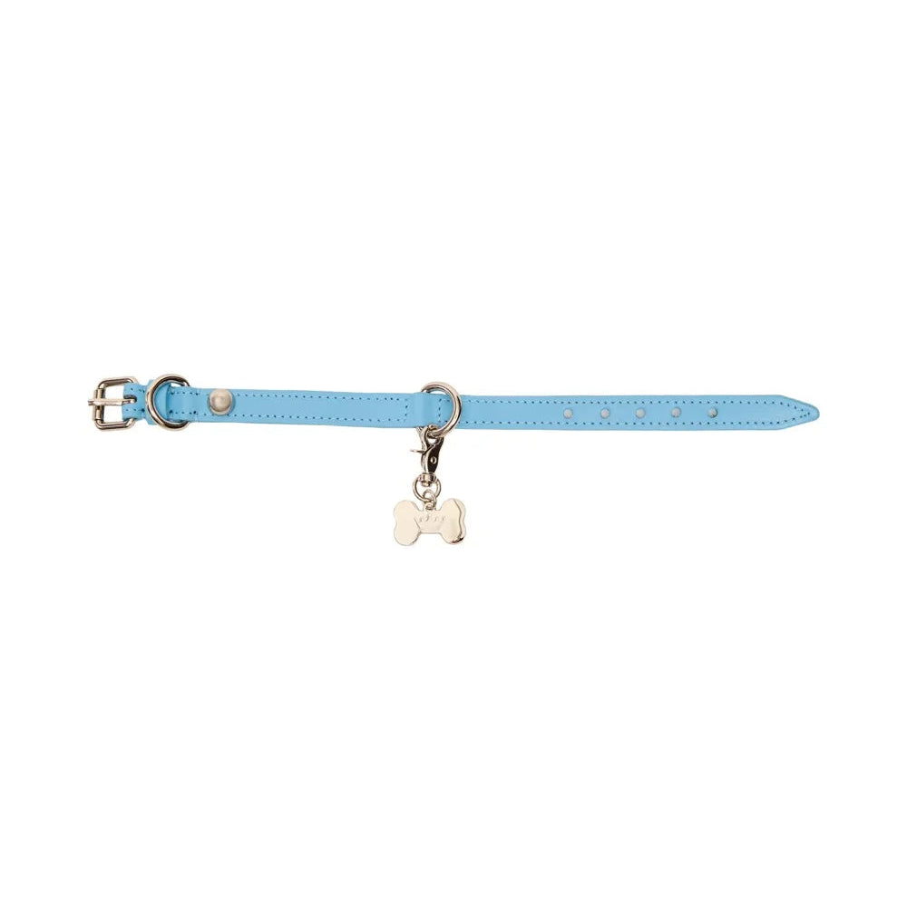 Maltipoo World Easy Collar, Blue
