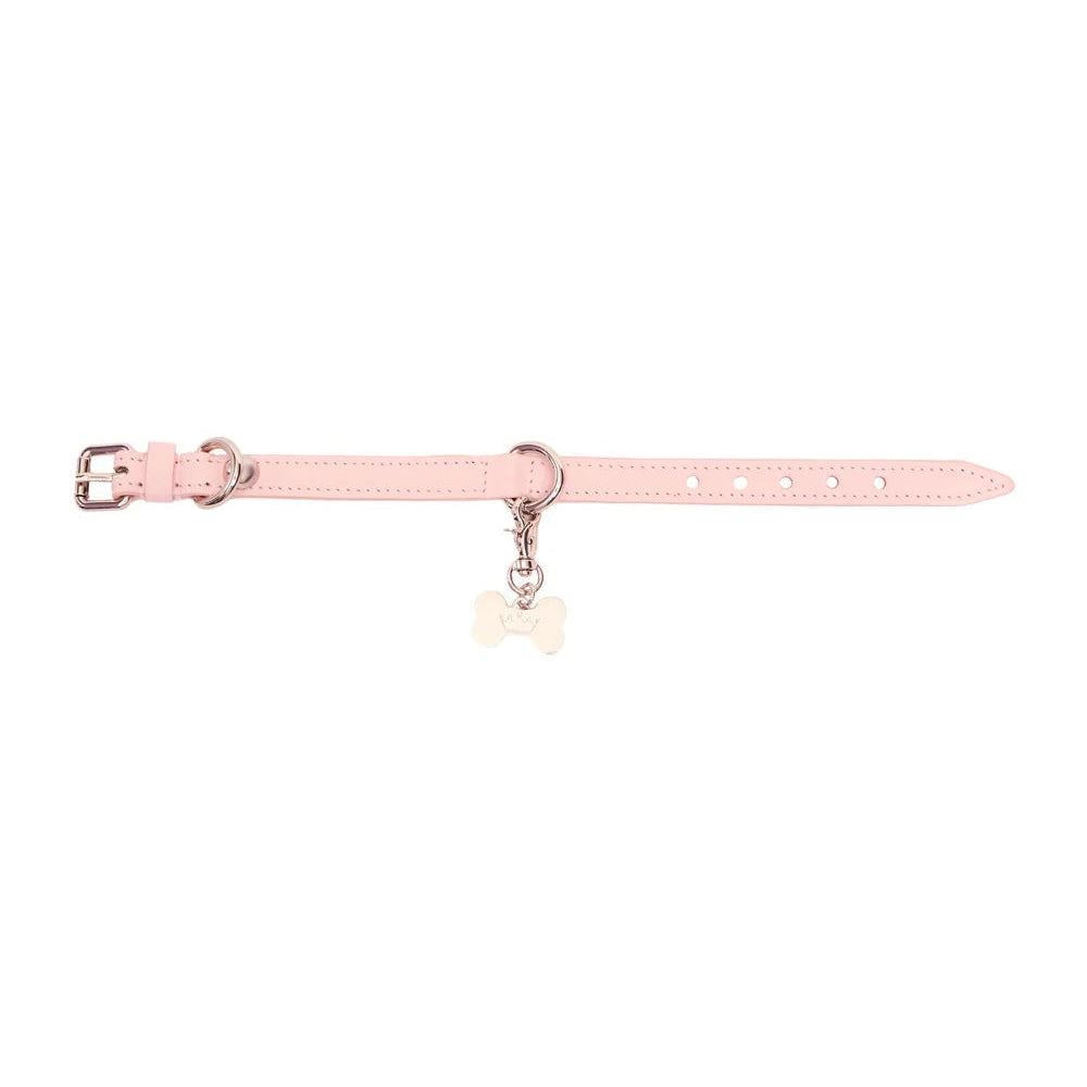 Maltipoo World Easy Collar, Pink
