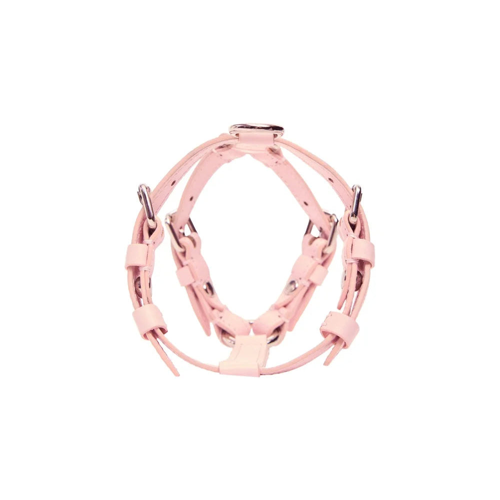 Maltipoo World Harness Hug, Pink