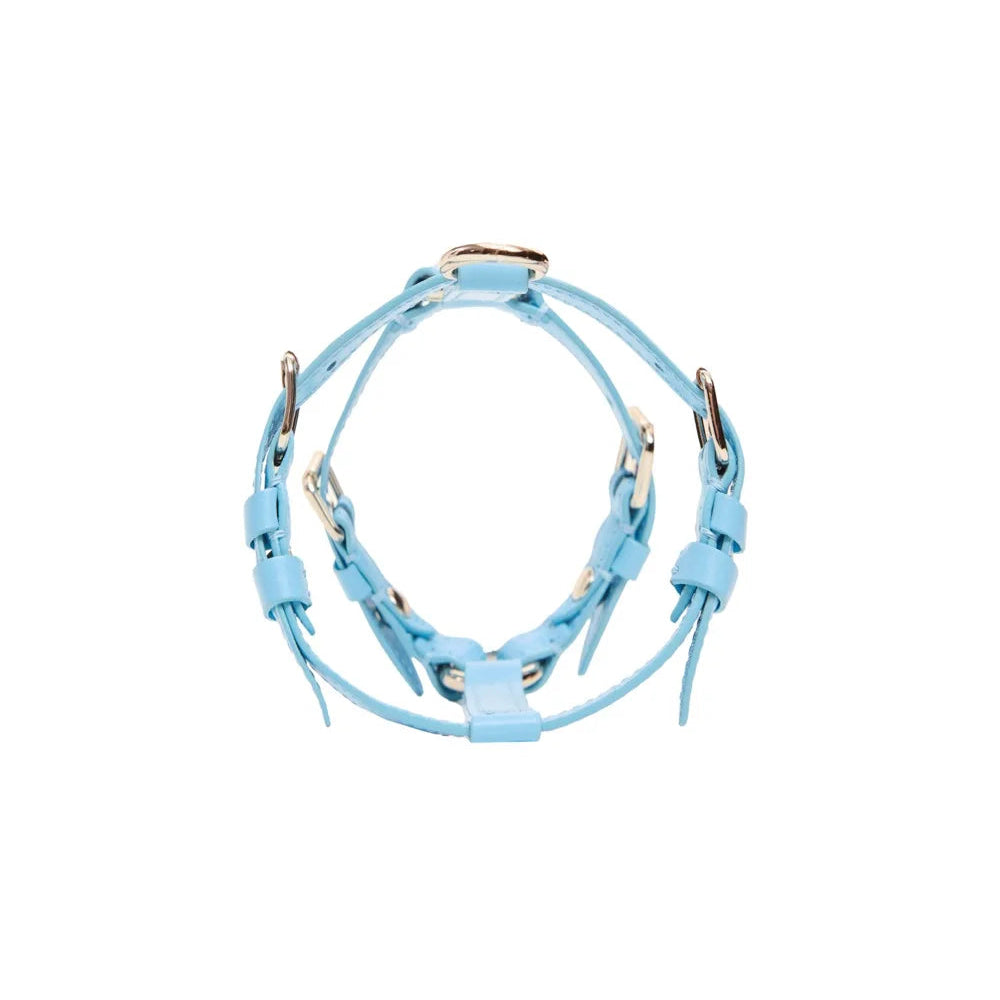 Maltipoo World Harness Hug, Blue