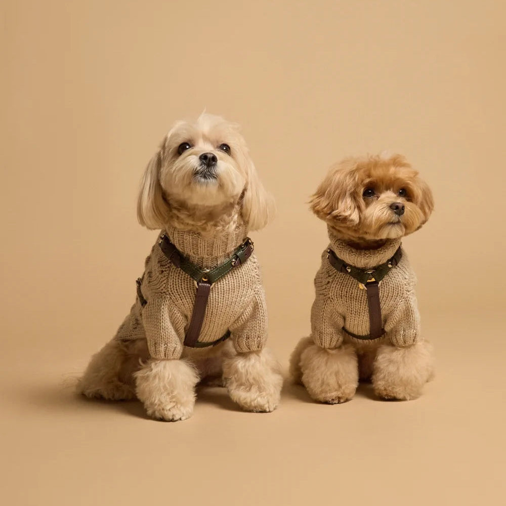 Maltipoo World Harness Hug, Old Money Collection