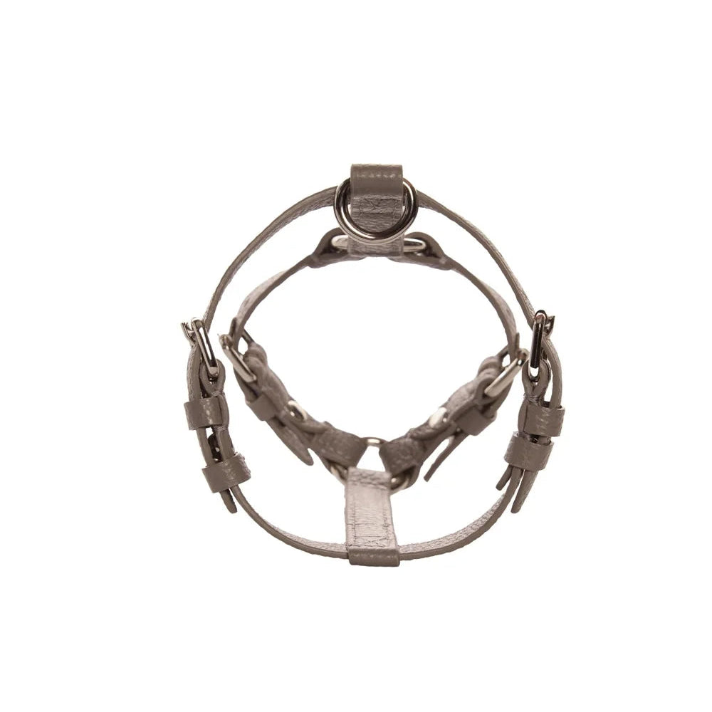 Maltipoo World Harness Hug, Grey