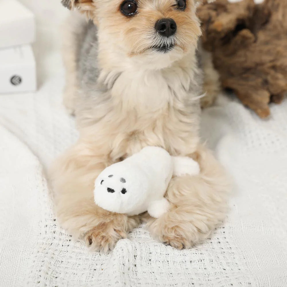 Moncheri Seal Plush Toy