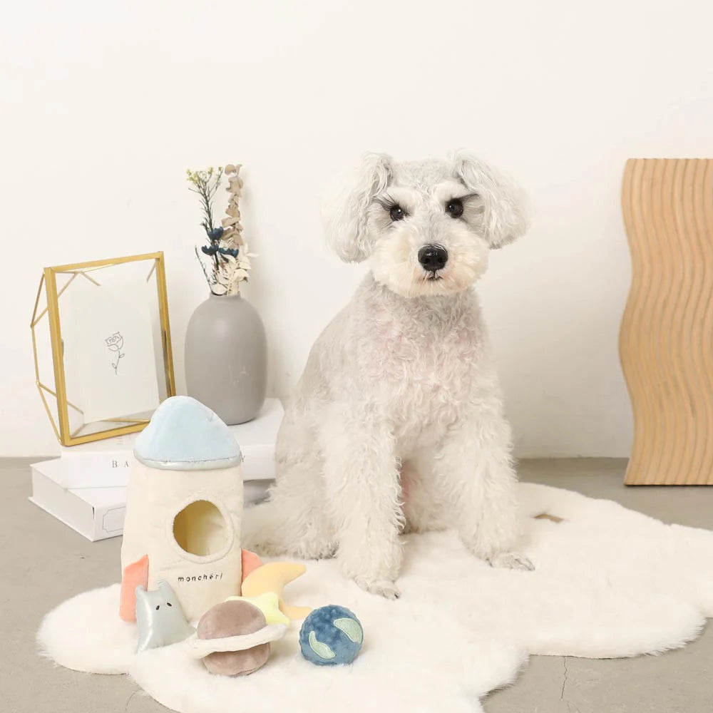 Moncheri Space Set Toys