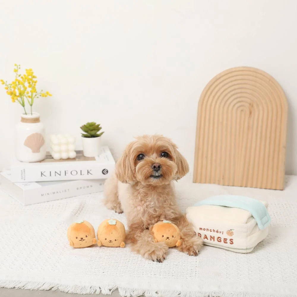 Moncheri Cardboard Mandarin Orange Nosework Toy Set