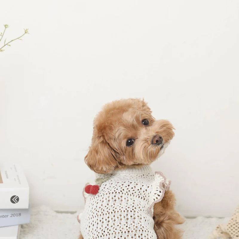 Moncheri Cooling Cherry Motif Summer Knit Top, Ivory