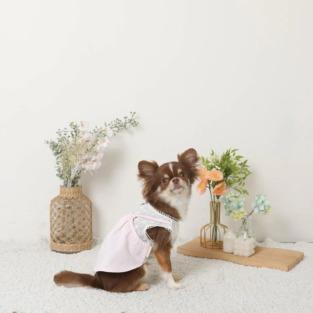 Moncheri Cooling Insect-Repellent Lace Sleeveless Camisole Dress, Pink