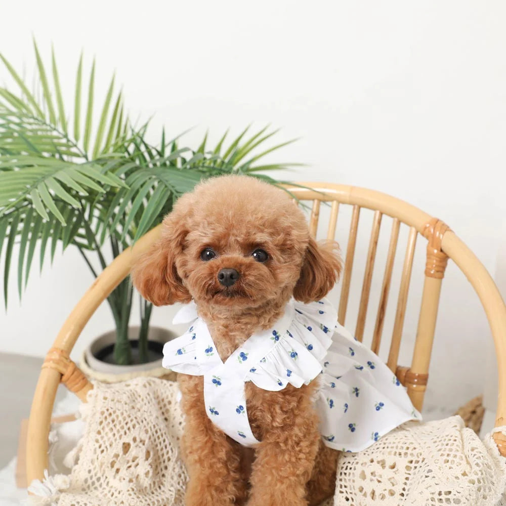 Moncheri Cold Frill Ribbon Fruit Print Dress, Blue