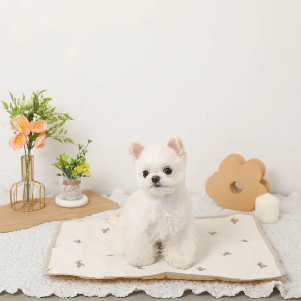 Moncheri Bear Pattern Water-Repellent Compact Cafe Mat