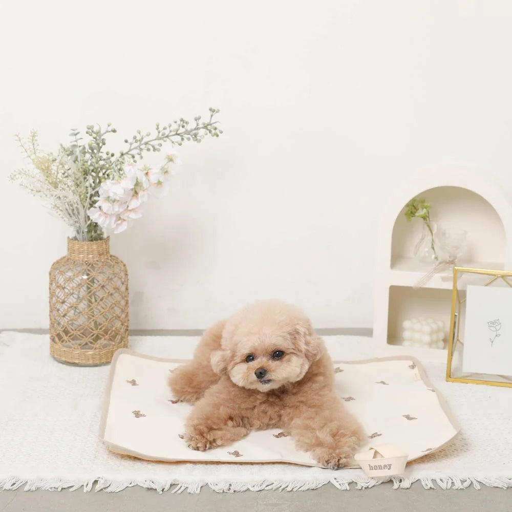Moncheri Bear Pattern Water-Repellent Compact Cafe Mat
