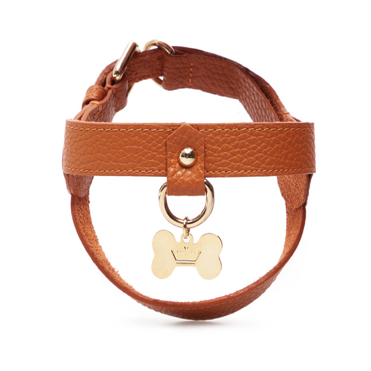 Maltipoo World Leather Harness, Orange