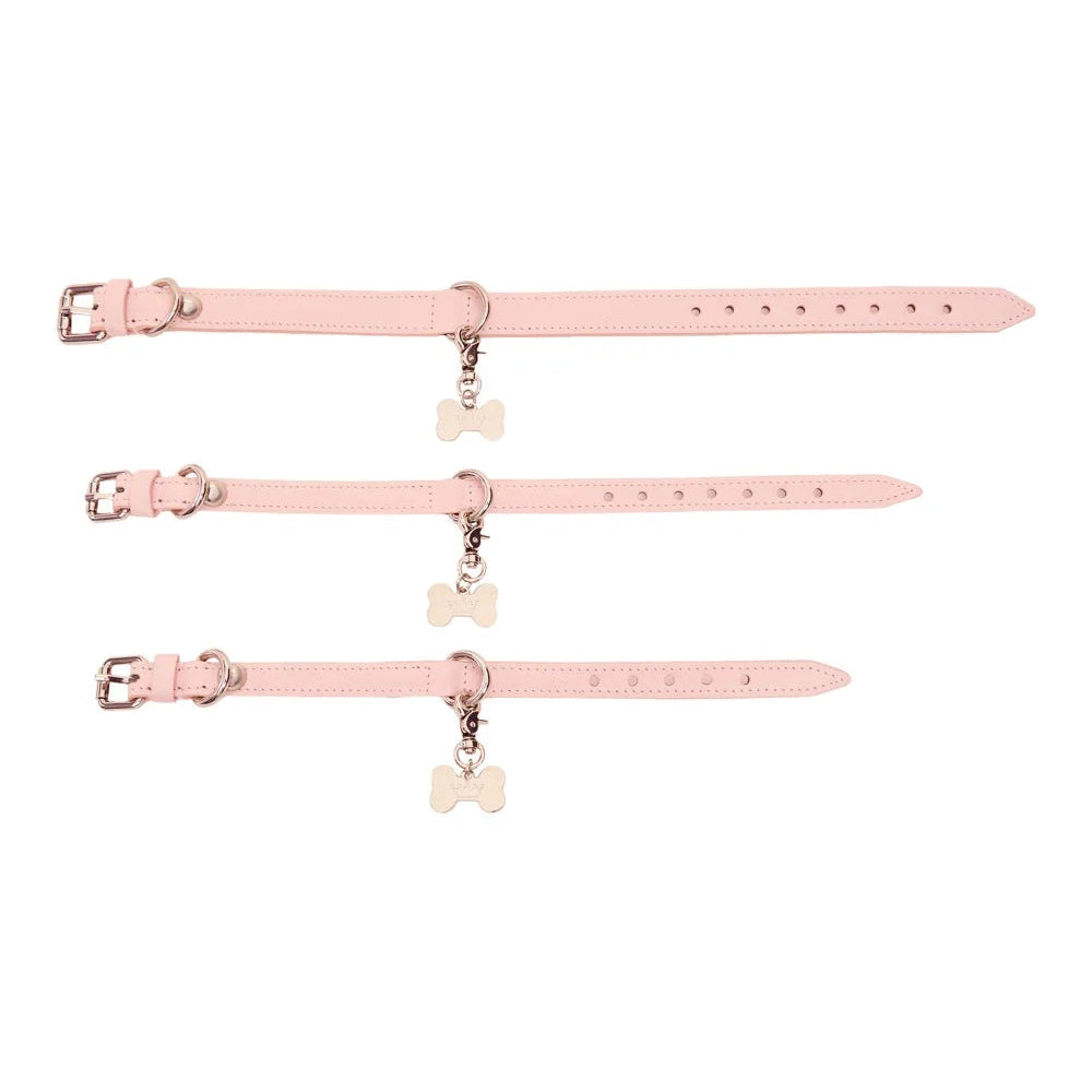 Maltipoo World Easy Collar, Pink