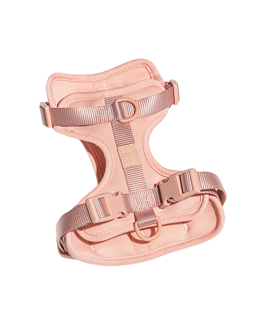 Wild One Harness, Blush