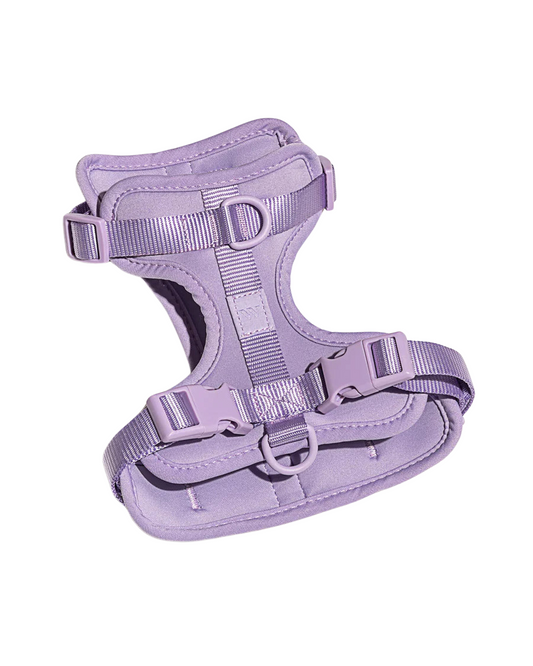 Wild One Harness, Lilac