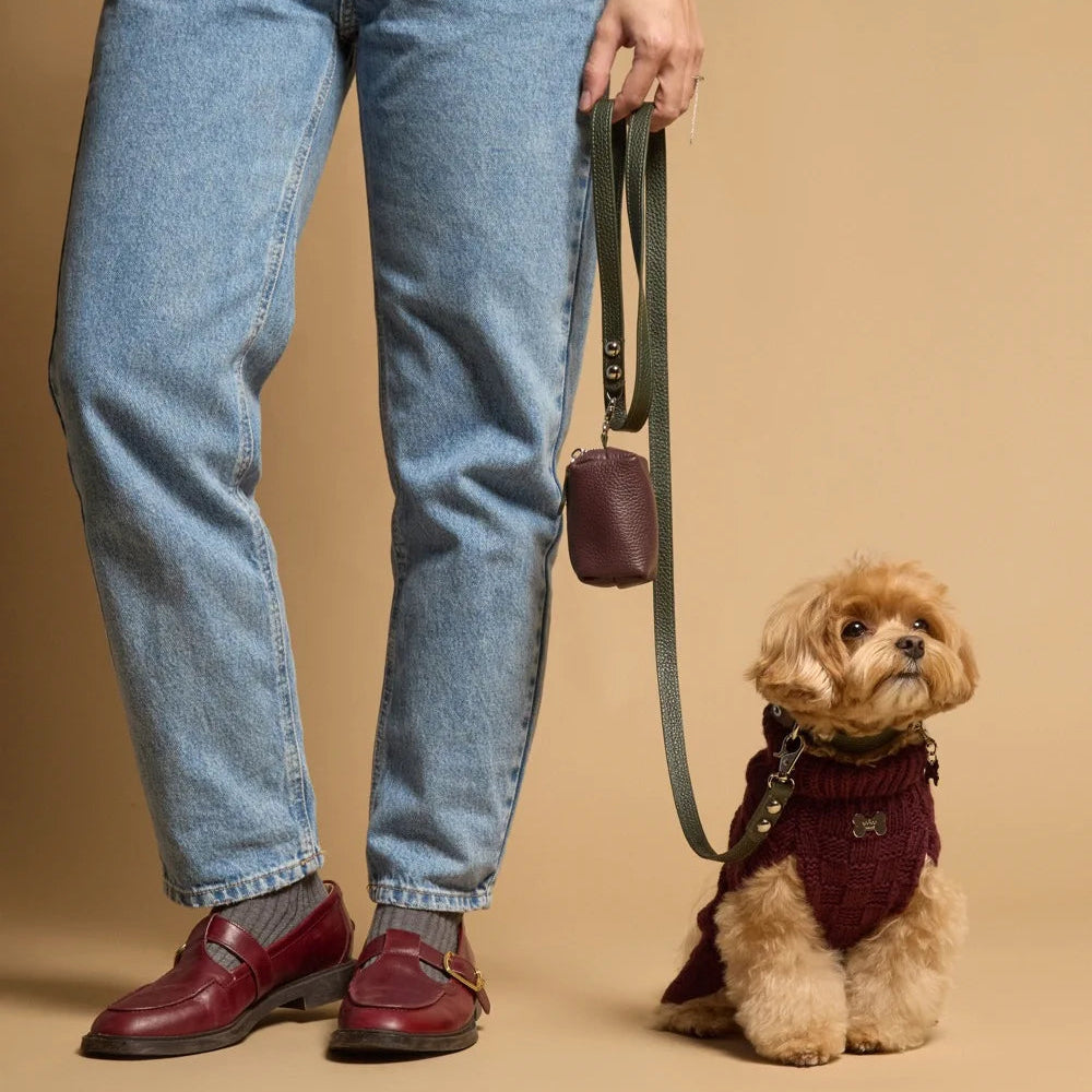 Maltipoo World Leather Leash + Small Bag, Old Money Collection