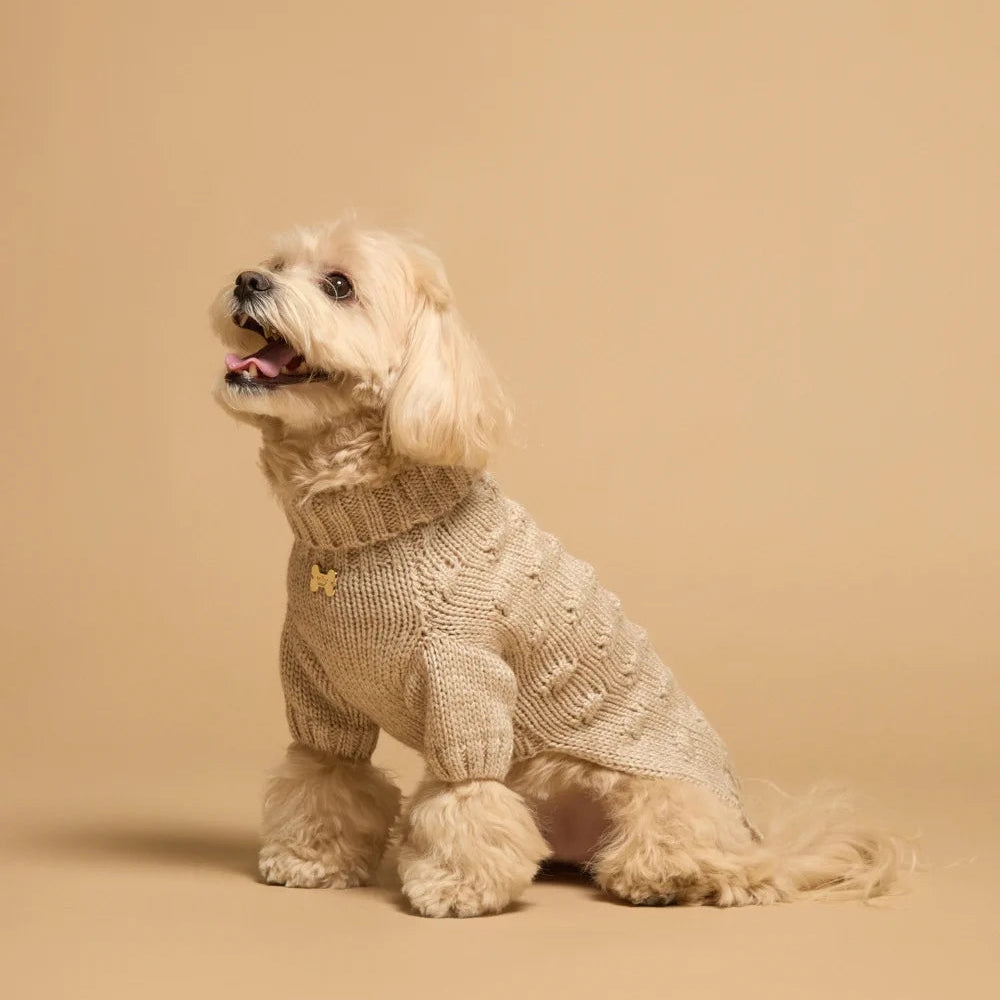 Maltipoo World Bubble Sweater, Beige