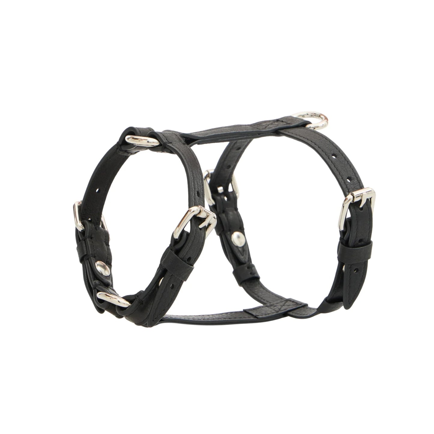 Maltipoo World Harness Hug, Noir Silver
