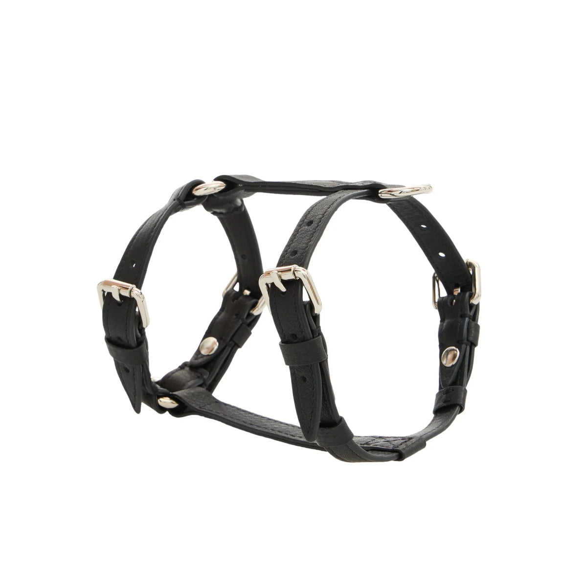 Maltipoo World Harness Hug, Noir Silver