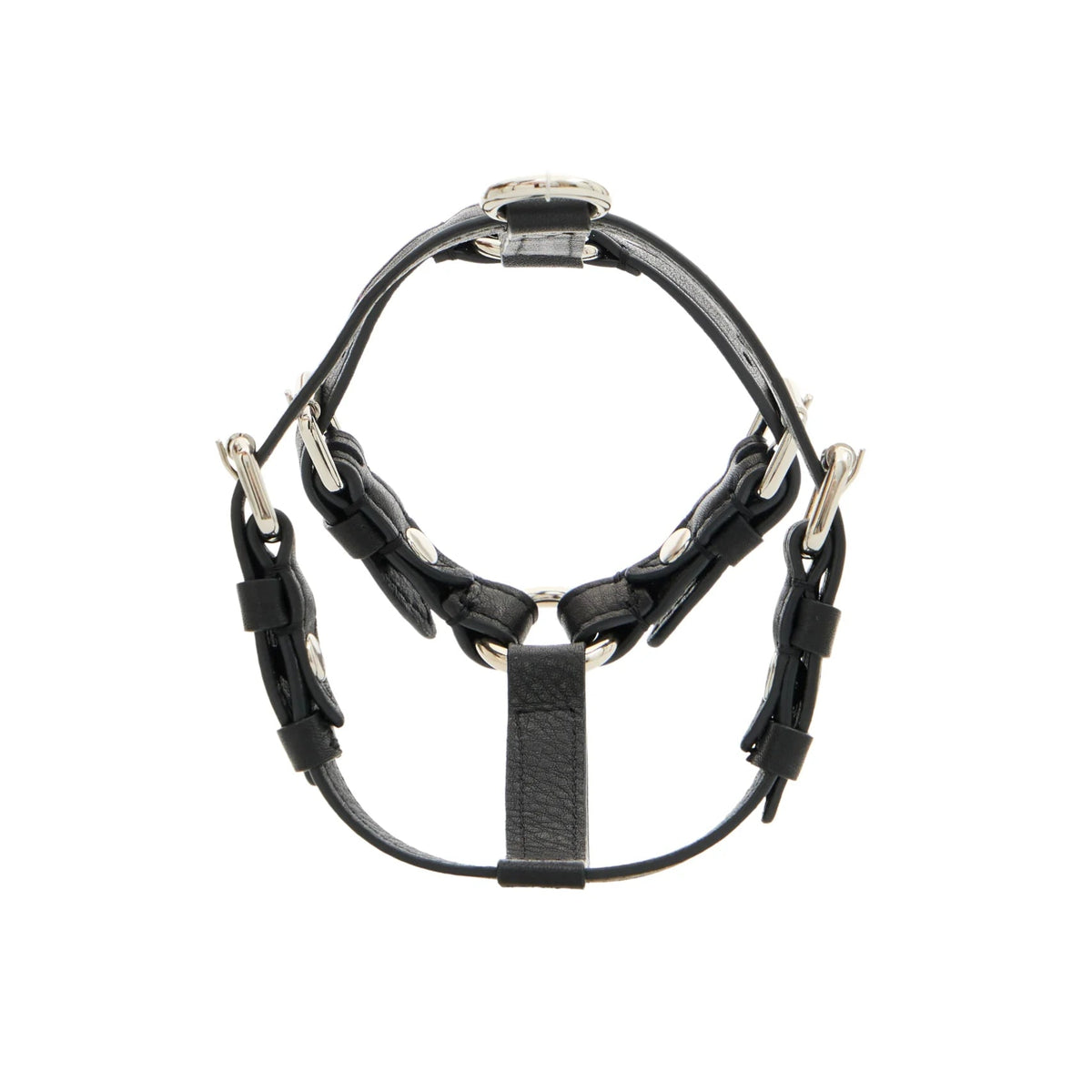 Maltipoo World Harness Hug, Noir Silver