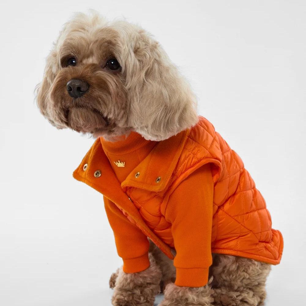 Maltipoo World Polo Neck PawSleeve, Orange