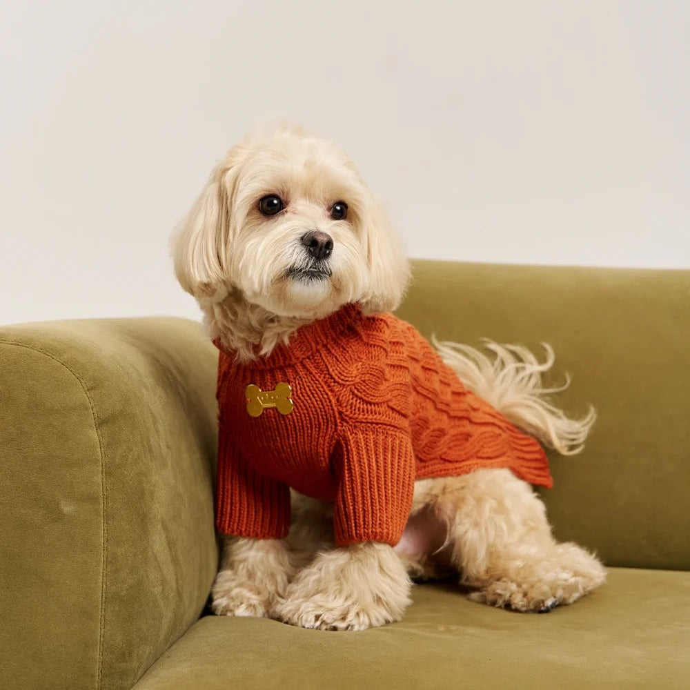 Maltipoo World Pigtail Sweater, Terracota
