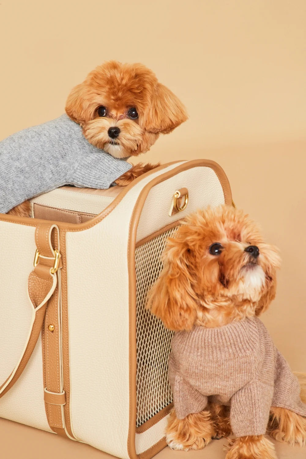 Maltipoo World Merinos Sweater, Cacao