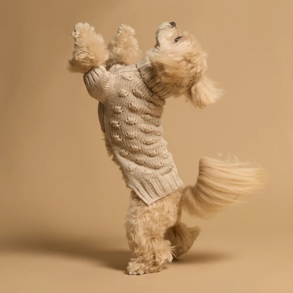 Maltipoo World Bubble Sweater, Beige