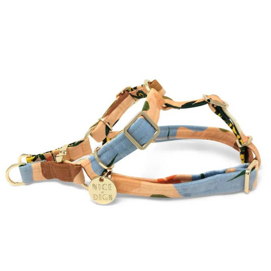 Nice Digs Boulder Canyon Printed Non-pull Dog Harness, Peach