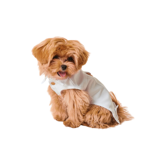 Maltipoo World Cotton Vest, White