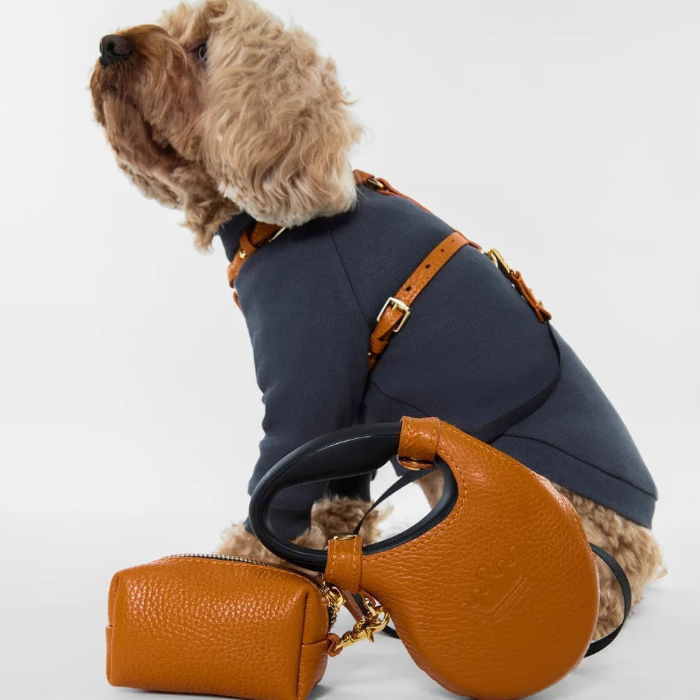 Maltipoo World Polo Neck PawSleeve, Grey