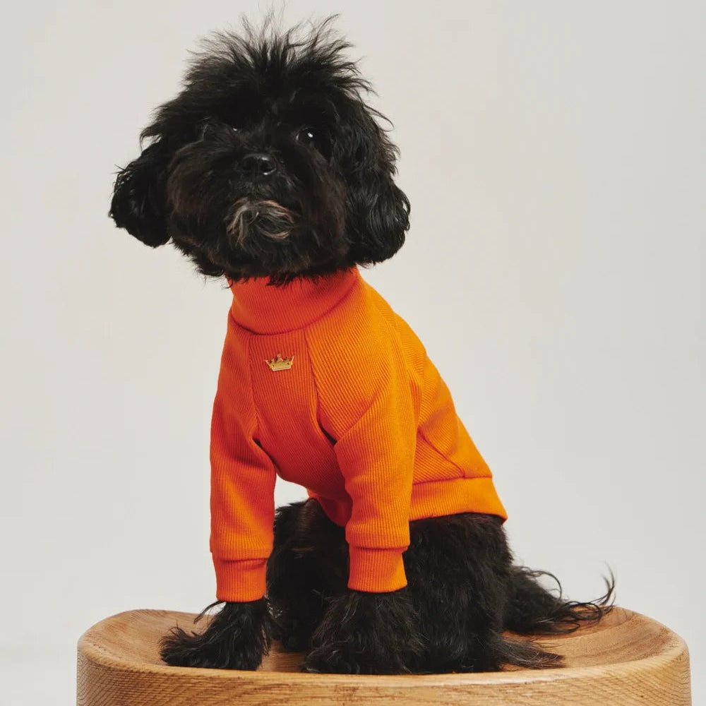 Maltipoo World Polo Neck PawSleeve, Orange
