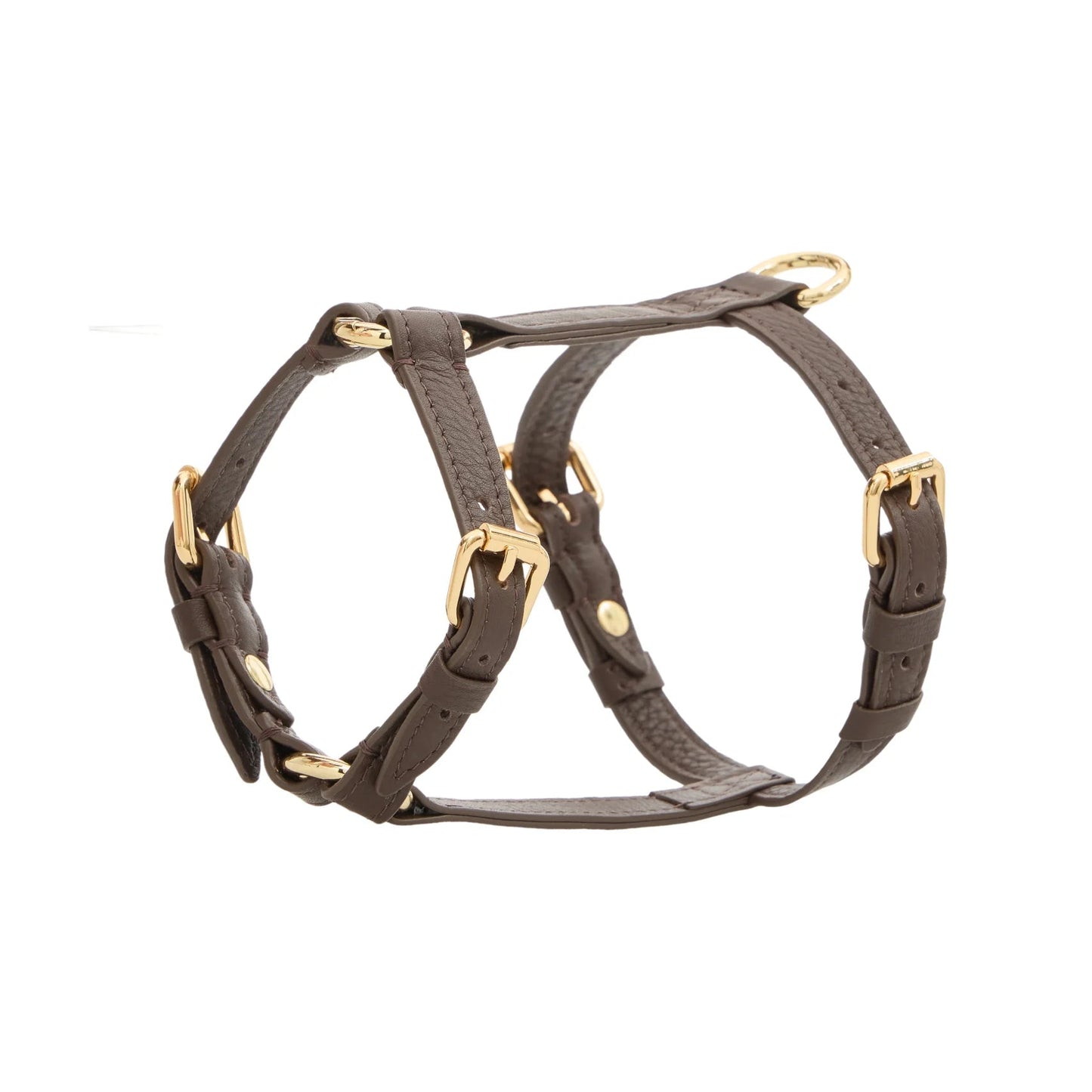 Maltipoo World Harness Hug, Truffle Gold