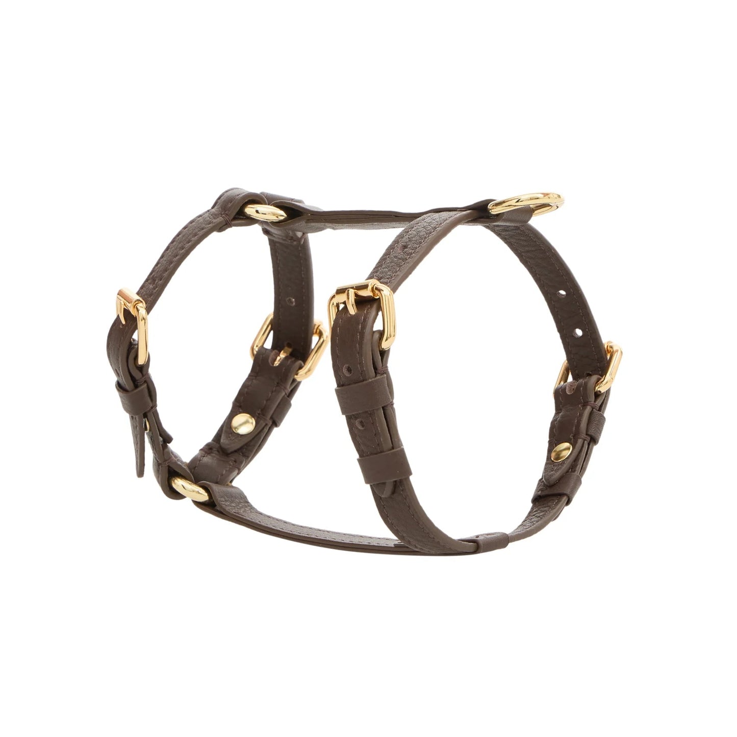 Maltipoo World Harness Hug, Truffle Gold