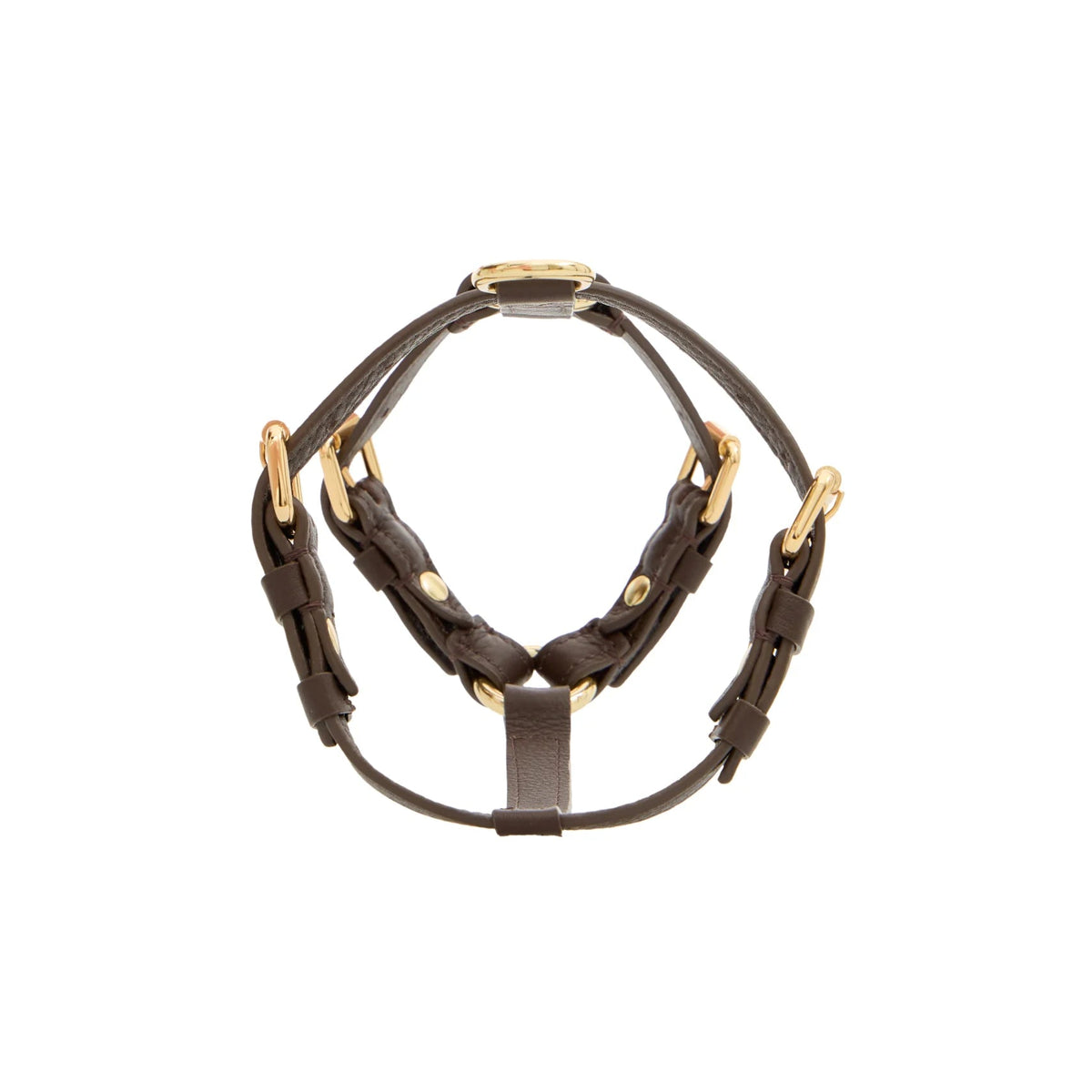 Maltipoo World Harness Hug, Truffle Gold
