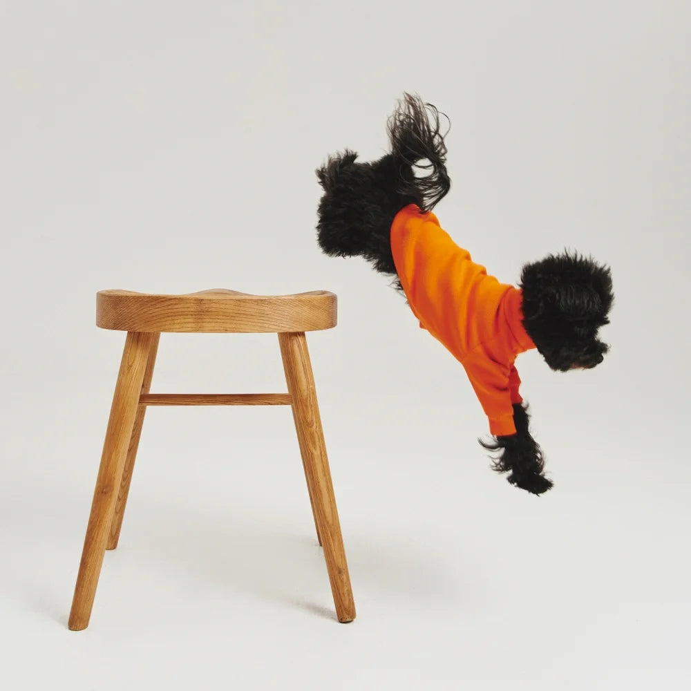 Maltipoo World Polo Neck PawSleeve, Orange