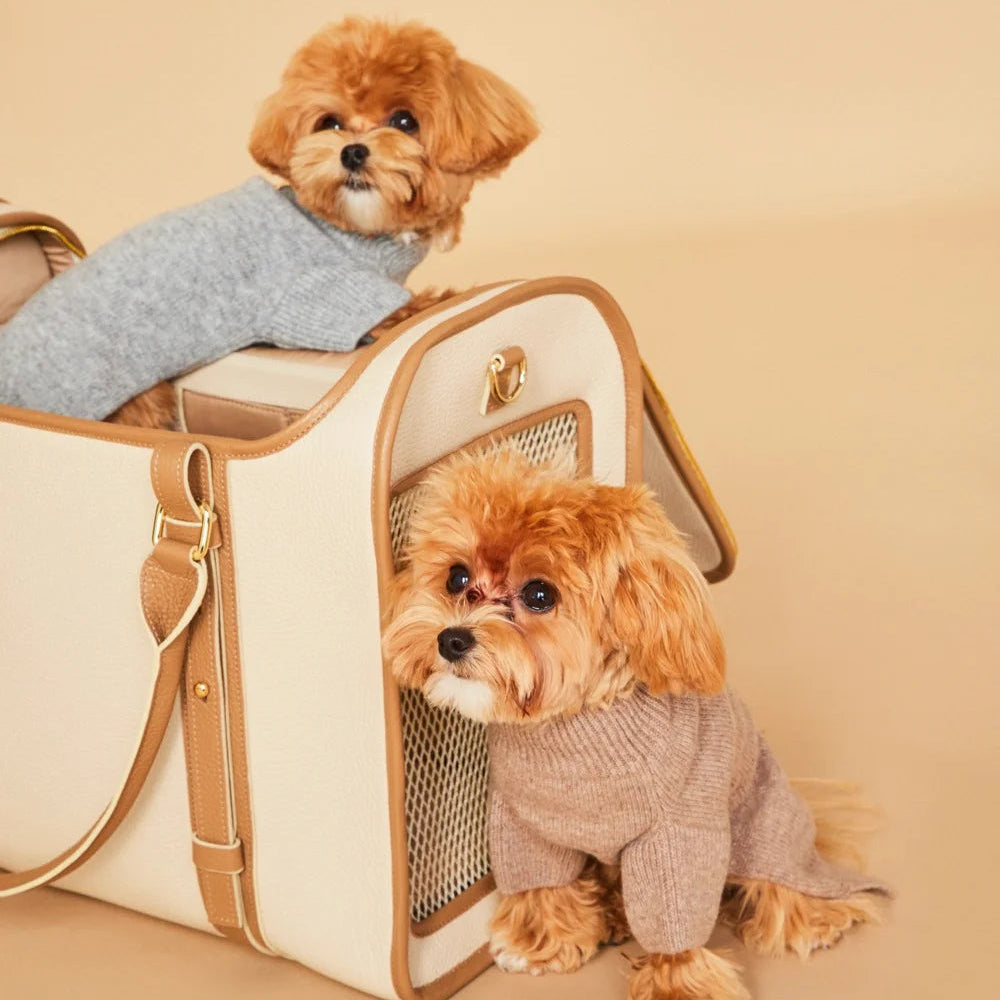 Maltipoo World Merinos Sweater, Cacao
