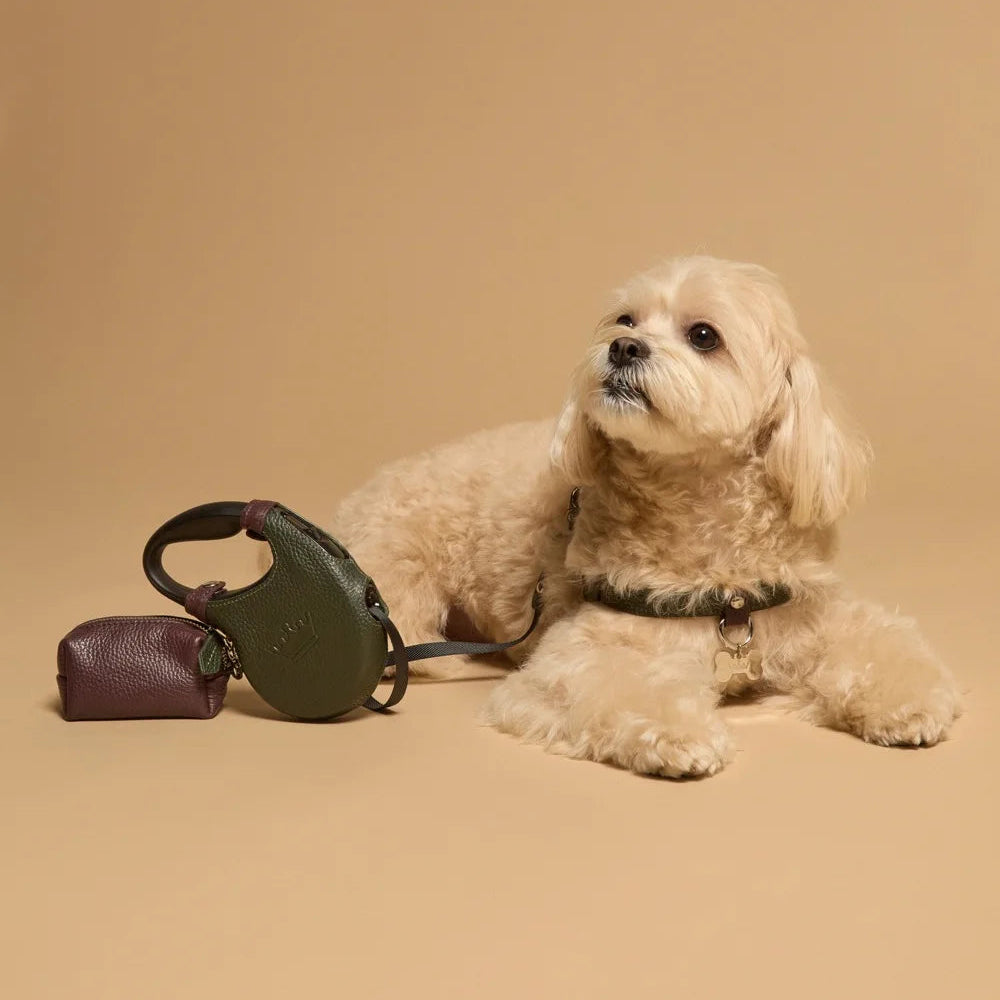 Maltipoo World Retractable Leash + Small Bag, Old Money