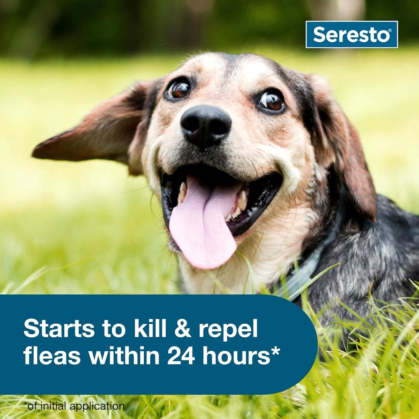 Seresto Small Flea & Tick Treatment & Prevention Collar for Dogs Under 8 kg