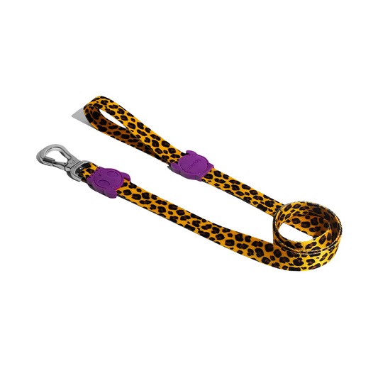 Zee.Dog Honey Leash