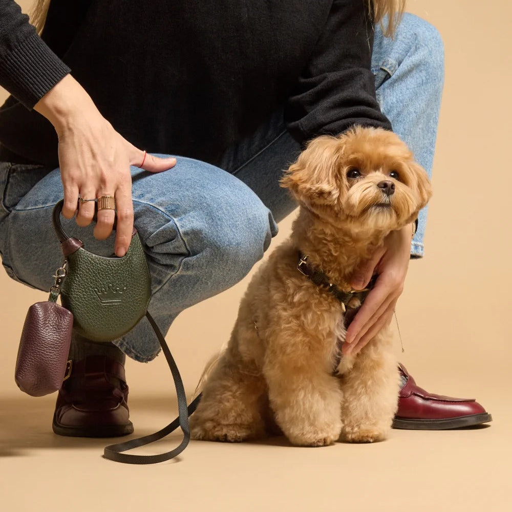 Maltipoo World Retractable Leash + Small Bag, Old Money