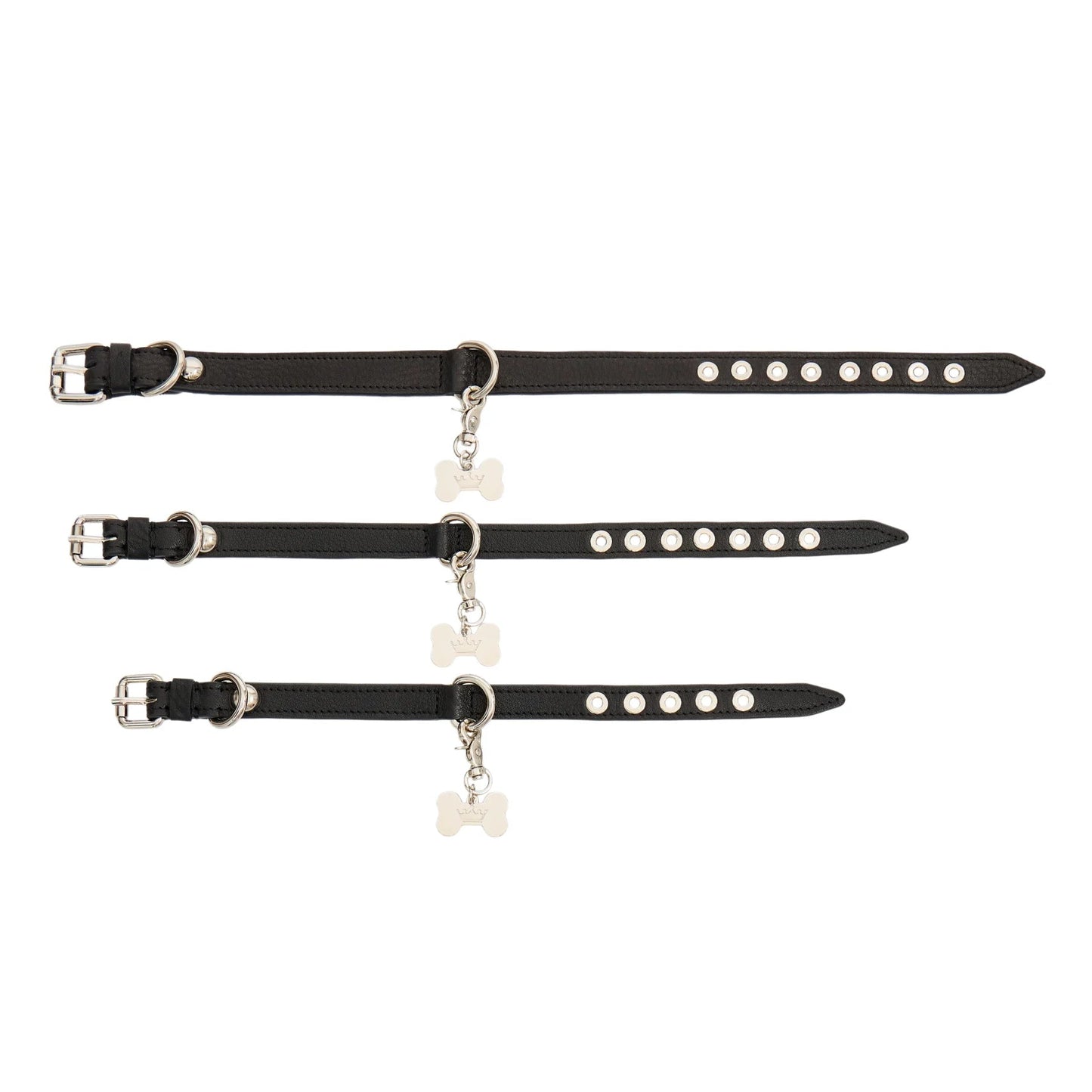 Maltipoo World Dot Collar, Noir Silver