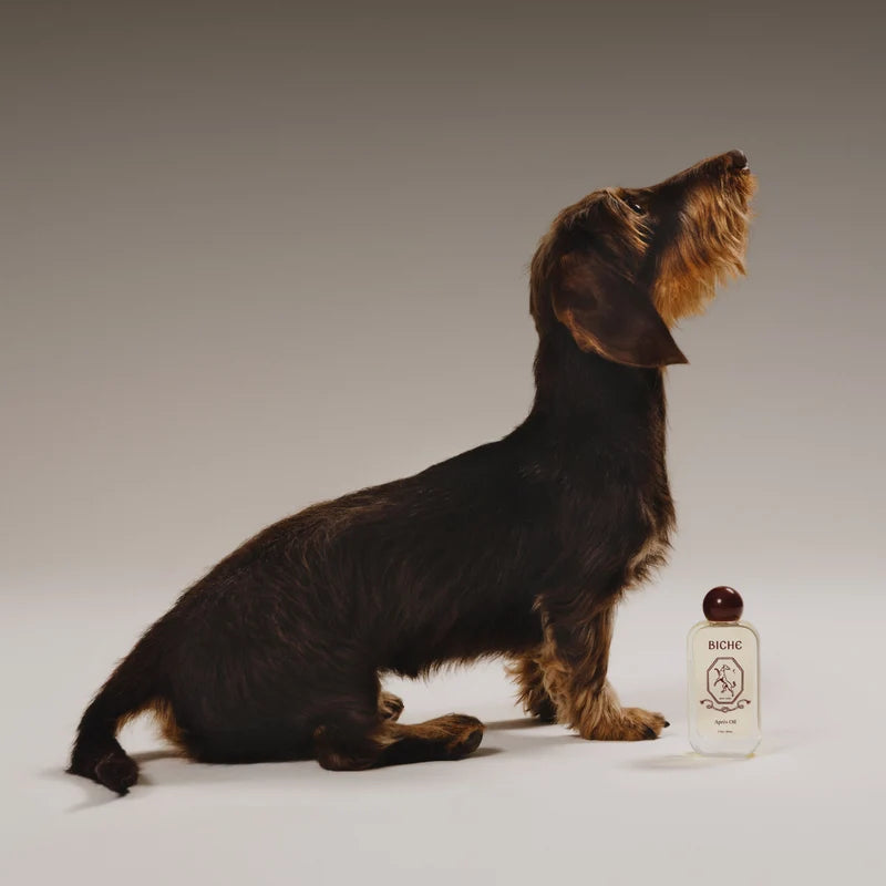 Biche Après Oil - Coat & Skin Conditioner, 50 ml