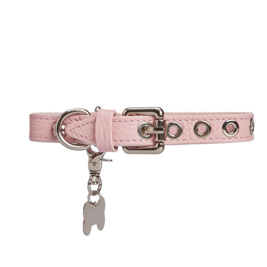 Maltipoo World Dot Collar, Pink