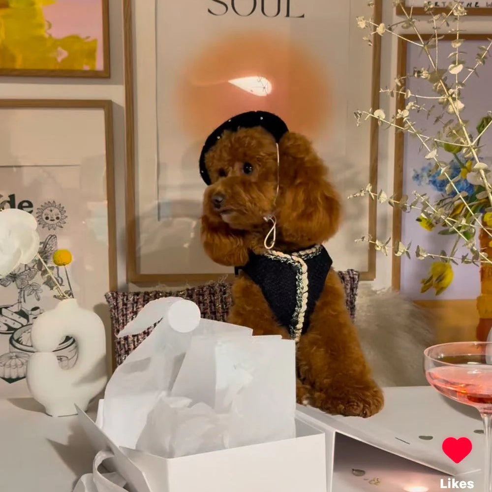 Pearl and Prince Black Pet Beret with Pearls
